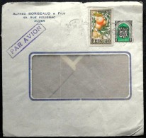 Algerie 1953  Letter   ( Lot 3928 ) - Briefe U. Dokumente