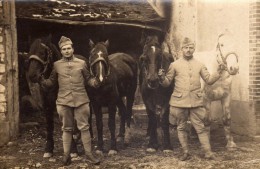 SOUCY   -  Carte Photo -  Chevaux - Soucy