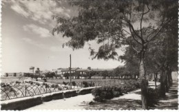 Zamora Spain, Paseo Del Carmen Y Alcazar, Buildings, C1950s Vintage Real Photo Postcard - Zamora