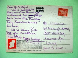 Ireland 1973 Postcard "Irish Donkey" To England - Dog - Covers & Documents