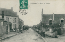 41 HERBAULT / Route De Vendôme / - Herbault