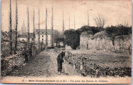 77 BRIE COMTE ROBERT - Vue Prise Des Ruines Du Château - Brie Comte Robert