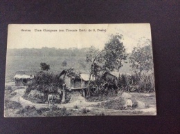 SANTOS - Uma Choupana - Cartolina FP V 1913 - Autres