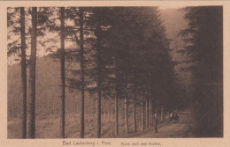 BAD LAUTERBERG - Partie Nach Dem Knollen - Bad Lauterberg