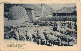 SCENA DI PASTORIZIA AGLI INIZI DEL '900. BELLA CARTOLINA DEL 1918 CON FRASE DI GIOVANNI PASCOLI - Non Classificati