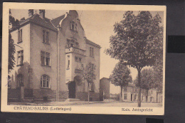 Chateau-Salins (Lothringen) Kais.Amtsgericht     Feldpost  1915 - Chateau Salins