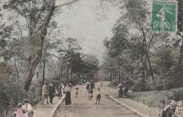 PARIS (19ème Arrondissement) - Les Buttes Chaumont - Avenue D'Arcel - Animée - Arrondissement: 19