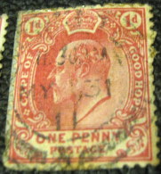 Cape Of Good Hope 1902 King Edward VII 1d - Used - Capo Di Buona Speranza (1853-1904)