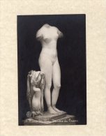 48341     Italia,  Roma,  M.  Nazionale  -  Venere  Di  Cirene,  NV - Musea