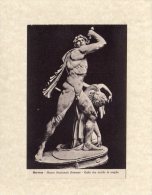 48345     Italia,  Roma,  Museo  Nazionale  Romano,  Gallo Che Uccide La  Moglie,  NV - Musées