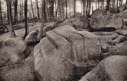 CP ALLEMAGNE ODENWALD FELSBERG ALTARSTEIN - Odenwald