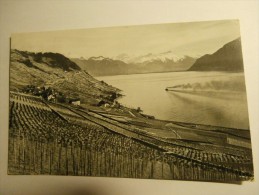 VD LAVAUX Près De Riex Et Las Alpes 1959 - Riex