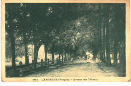 LAMARCHE .... AVENUE DES TILLEULS - Lamarche