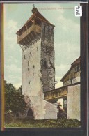 RHEINFELDEN - STORCHENNESTTURM - TB - Rheinfelden