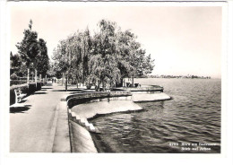 Schweiz - Horn Am Bodensee - Blick Auf Arbon - Arbon