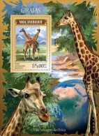 Mozambique. 2014 Giraffes. (218b) - Girafes