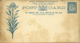 Entier Postal  Carte 1 1/2 Penny Vert Superbe Fleur Emblème Du Pays Telopea Speciosissima, Localement Appelée Waratah - Lettres & Documents