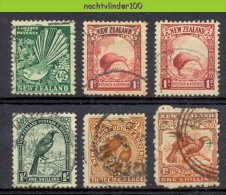 Naa1769 FAUNA VOGELS KIWI BIRDS VÖGEL AVES OISEAUX NEW ZEALAND ** SMALL ASSORTMENT ** HIGH VALUE ** Gebr/used - Collections, Lots & Series