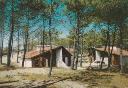 SEIGNOSSE (Landes) - Gîtes De La Forêt Du VVF - Other & Unclassified