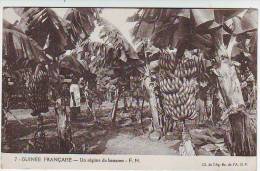 GUINEE FRANCAISE . UN REGIME DE BANANES . Fernand NATHAN . F.N. - Guinea Equatoriale