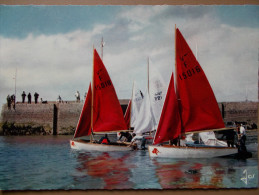 29 - ILE TUDY - Les Voiliers De L'Ecole De Voile Devant La Digue. (Dériveurs...) CPSM - Ile Tudy