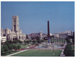 (100) Indianapolis Library - Biblioteche