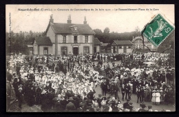 CPA ANCIENNE- FRANCE- NOGENT-LE-ROI (28)- CONCOURS DE GYMNASTIQUE DE 1912- RASSEMBLEMENT PLACE DE LA GARE- - Nogent Le Roi