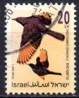 ISRAEL 1992 Songbirds -  20a. - Tristram's Grackle  FU - Used Stamps (without Tabs)