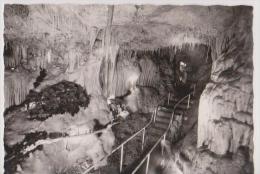 MONACO-la Grotte De L´observatoire Dans Le Jardin Exotique - Tuyaux De Pipe - Jardín Exótico