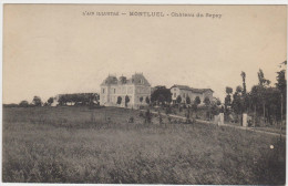 MONTUEL - Château De Sepey - Montluel