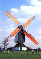 NOORDERWIJK Bij Herentals (Antw.) - Molen / Moulin - De Hogewegmolen Opgezeild En In Werking (1999).  PRACHTKAART! - Herentals