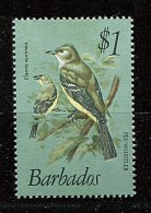 Barbade ** N° 485 - Oiseaux - Barbados (1966-...)