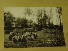 PAS DE CALAIS-OYE PLAGE-"POET JOIE" CENTRE DE VACANCES DU GROUPE VALLOUREC -CALME ET REPOS-ANIMEE IB11 ED YVON - Oye Plage