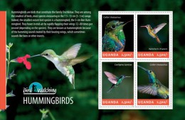 Uganda. 2014 Hummingbirds. (307a) - Colibris