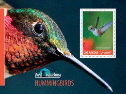 Uganda. 2014 Hummingbirds. (307b) - Colibríes