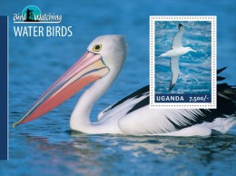 Uganda. 2014 Water Birds. (305b) - Pelikanen