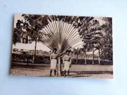 Carte Postale Ancienne : FIJI : A Traveller's Palm With 2 Policemen - Fiji