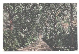 Northrepps Avenue Near Cromer Norfolk USED 1907 - Otros & Sin Clasificación