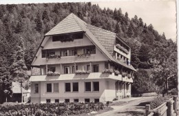 CPSM - Service Social Des F. F. A. - Maison Familiale De TODTMOOS - Au SCHWARTZWALD - 1960 - Todtmoos