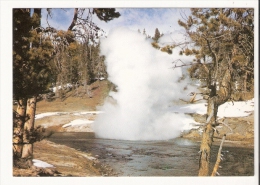 Riverside Geyser - Yellowstone National Park - Parques Nacionales USA