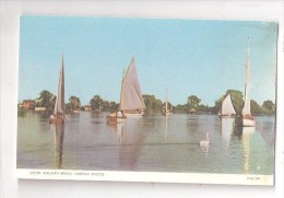 SOUTH WALSHAM BROAD NORFOLK BROADS UNUSED OLD POSTCARD NORFOLK - Andere & Zonder Classificatie