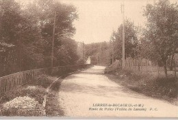 LORREZ-le-BOCAGE - Route De Paley (Vallée Du Lunain) - Lorrez Le Bocage Preaux