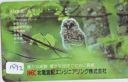 Télécarte Japon Oiseau * HIBOU (1592)  OWL * BIRD Japan Phonecard * TELEFONKARTE * EULE * UIL * - Uilen