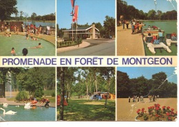 Le Havre : Promenade En Forêt De Montgeon - Multivues N°76/351/367 La Cigogne - Forêt De Montgeon