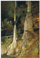 65 - GROTTES DE BETHARRAM - COLONNE EN FORMATION- ETAT SUPERBE- - Saint Pe De Bigorre