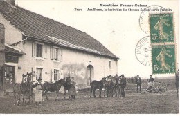 BURE - AUX BORNES , LA CASTRATION DES CHEVAUX SUISSES SUR LA FRONTIERE . - Autres & Non Classés