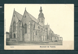 TAMISE: Souvenir, Niet Gelopen Postkaart  (GA15389) - Temse