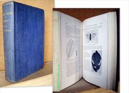 INSECT & Other Allied PESTS Of ORCHARD, BUSH & HOTHOUSE FRUITS Arboriculture Agriculture Entomology Entomologie 1909 ! - Biowissenschaften