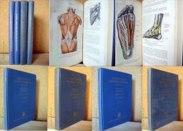 "LEHRBUCH DER KRANKENGYMNASTIK" MANUEL REEDUCATION Medecine Medicine Medizin Accident Massage Orthopedie Sport 1959/63 ! - Gezondheid & Medicijnen