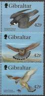 GIBRALTAR 1999 BIRDS Of PREY / RAPTORS  MNH FALCONS  (3ALL) - Collections, Lots & Series
